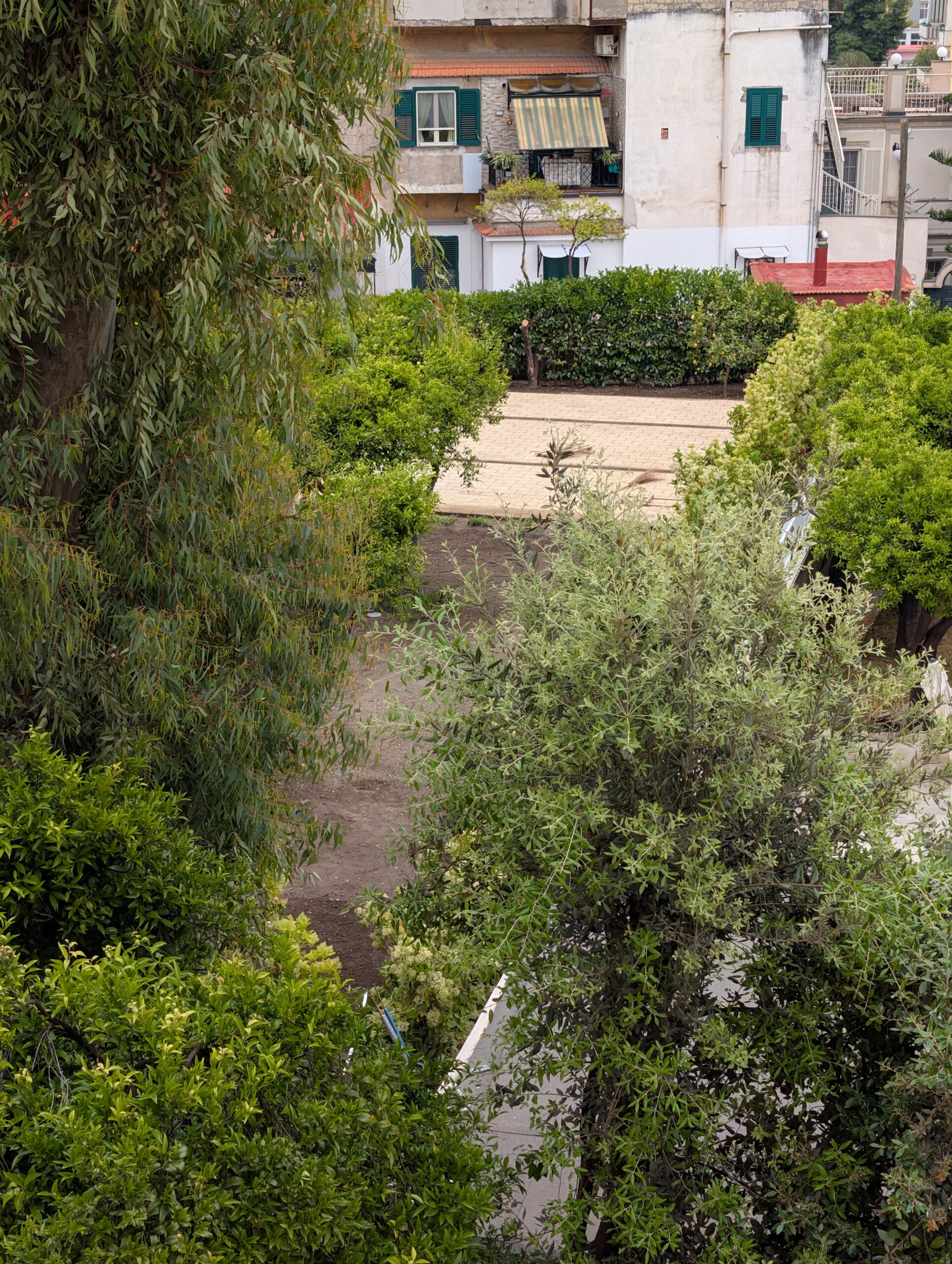 PXL_20260506_083706489