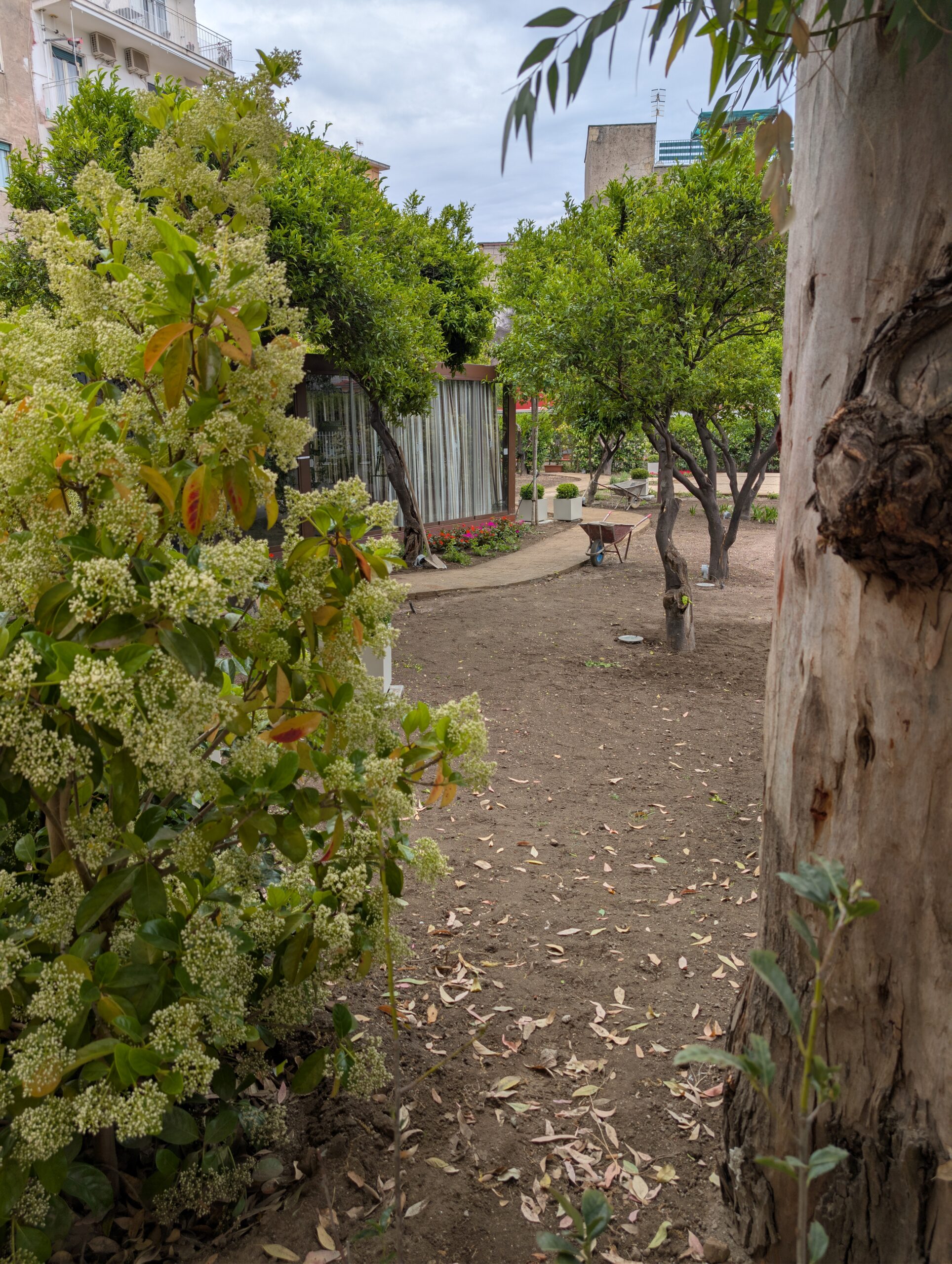 PXL_20260506_083900594