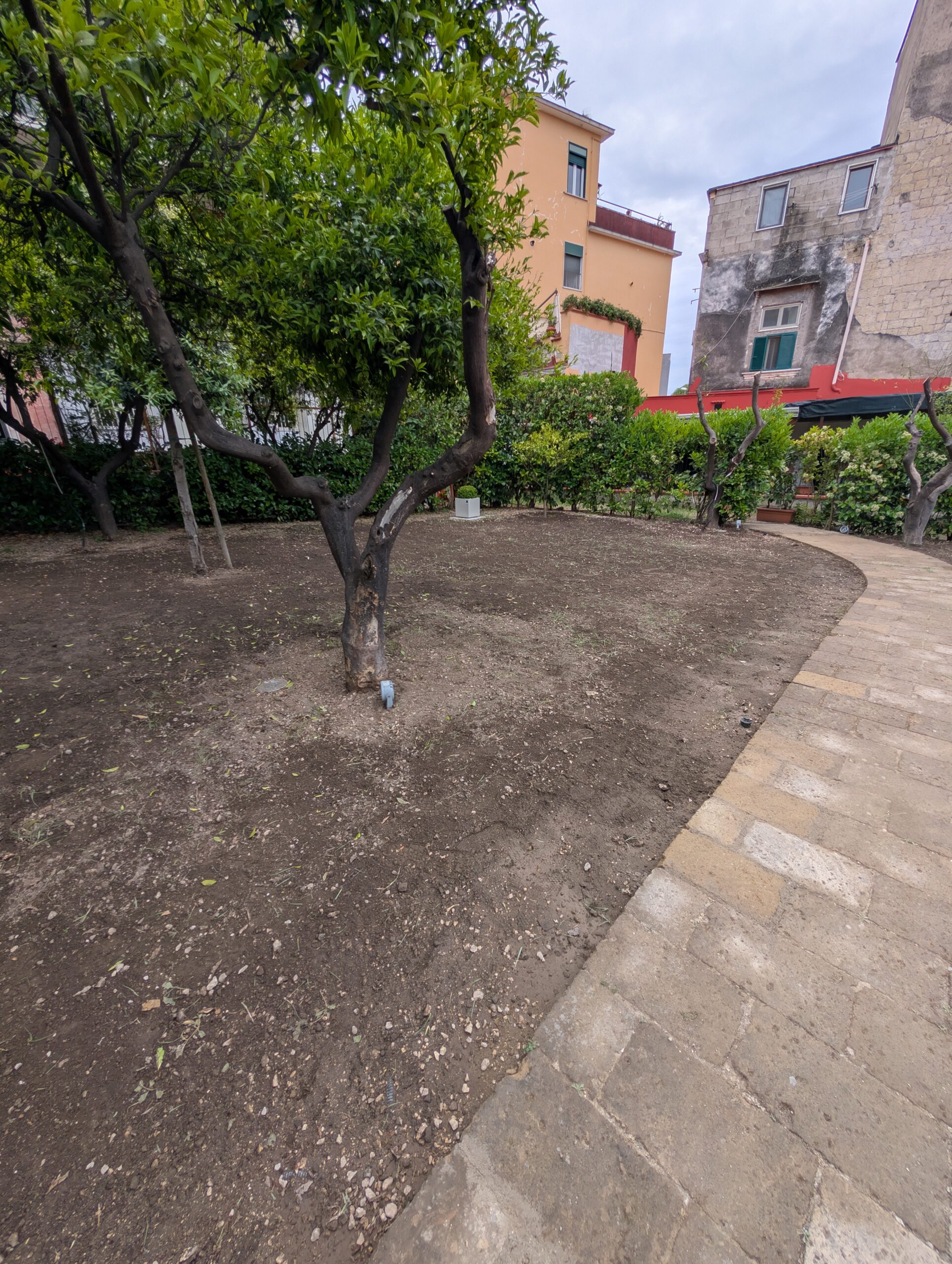 PXL_20260506_083953153